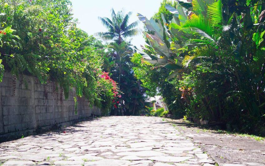 Venta de Finca, Santa Cruz de Yojoa