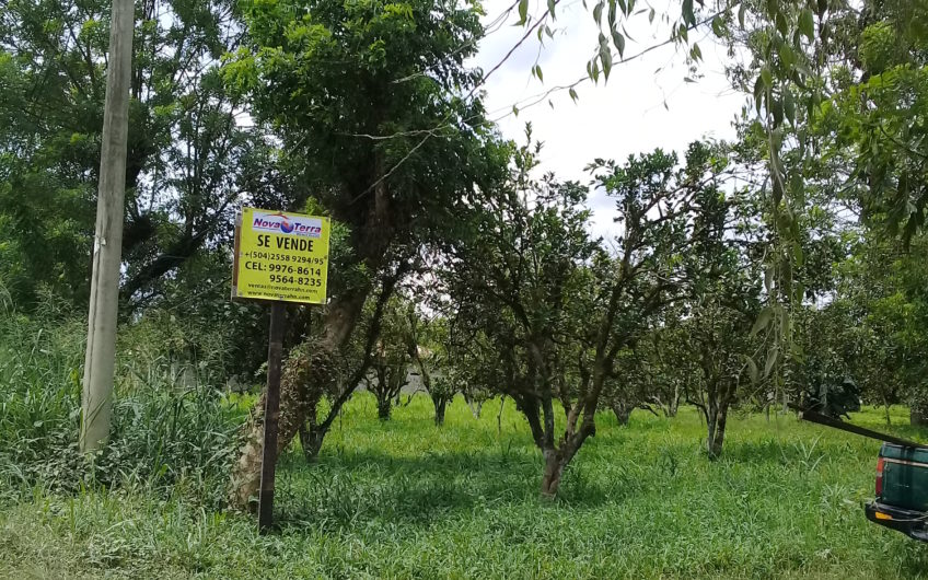 Venta de Terreno en Aldea la 36, El Negrito, Yoro