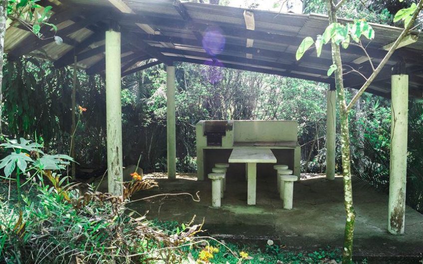 Venta de Finca, Santa Cruz de Yojoa