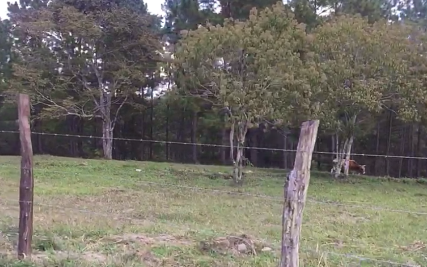 Venta de Terreno en El Porvenir