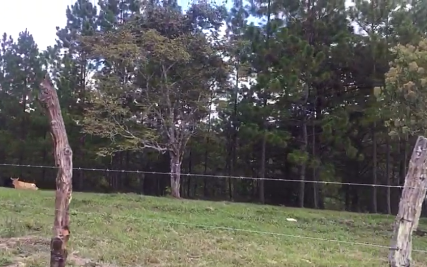 Venta de Terreno en El Porvenir