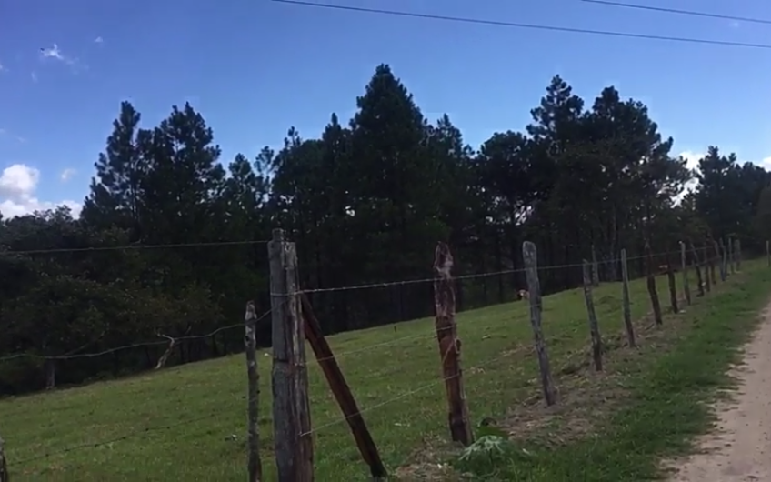 Venta de Terreno en El Porvenir