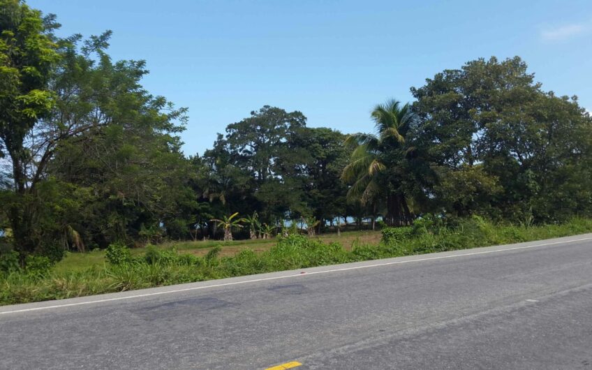 Venta de Terreno de Playa ubicado en Omoa