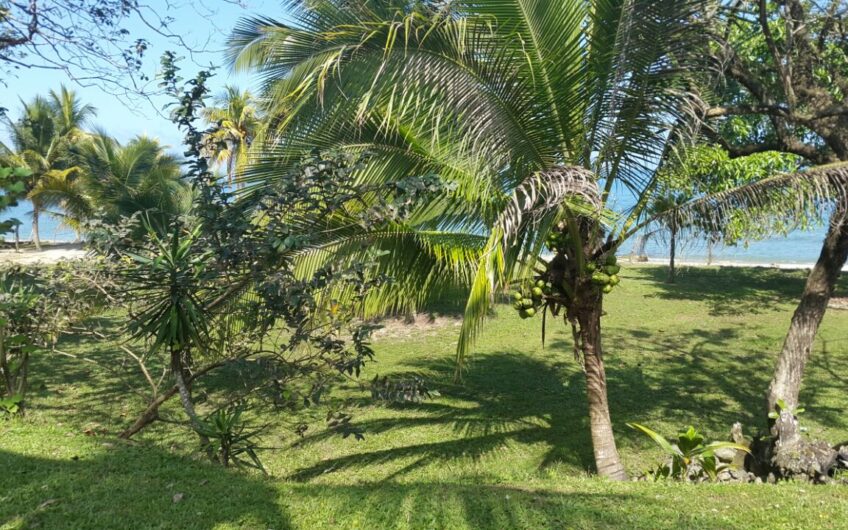 Venta de Terreno de Playa ubicado en Omoa